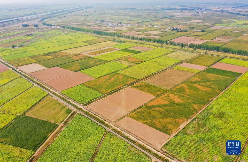 2018最新白菜网平台大全